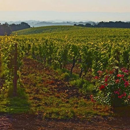 Agriturismo Fattoria Il Piano - Appartamento Focolare - San Gimignano Bagian luar foto