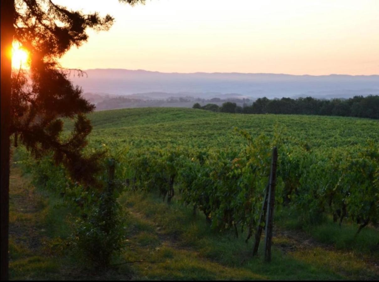 Agriturismo Fattoria Il Piano - Appartamento Focolare - San Gimignano Bagian luar foto
