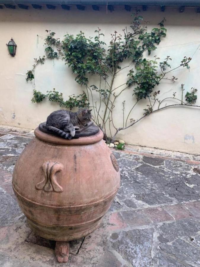 Agriturismo Fattoria Il Piano - Appartamento Focolare - San Gimignano Bagian luar foto