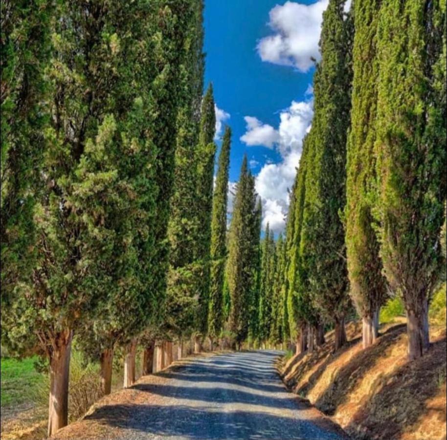 Agriturismo Fattoria Il Piano - Appartamento Focolare - San Gimignano Bagian luar foto