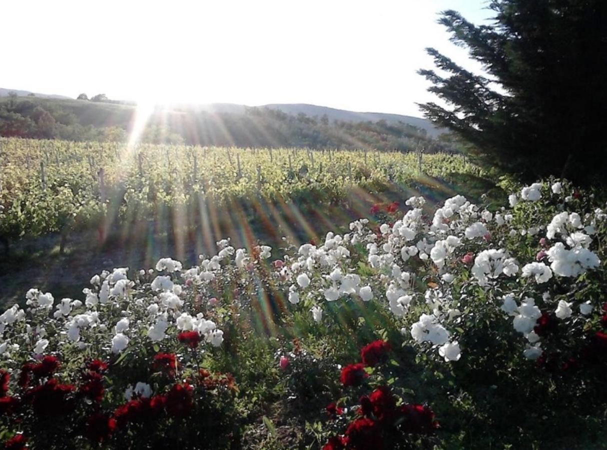 Agriturismo Fattoria Il Piano - Appartamento Focolare - San Gimignano Bagian luar foto