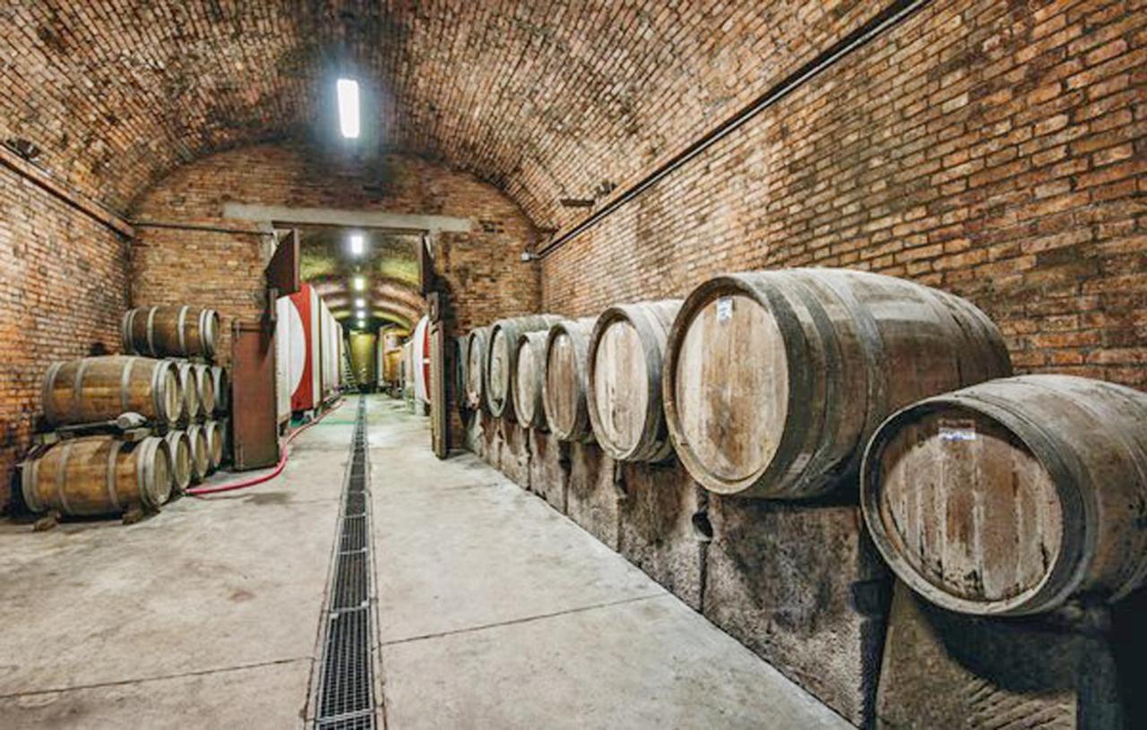 Agriturismo Fattoria Il Piano - Appartamento Focolare - San Gimignano Bagian luar foto